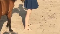 小姐姐与马,一场奇妙的邂逅