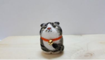 微密猫首页