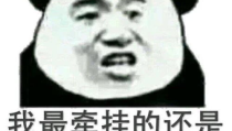 怼你小姐姐,揭秘网络时代下的新型社交现象